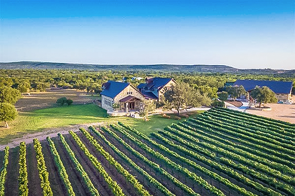 Hill Country Wine Tours